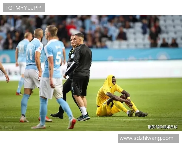 厄勒布鲁对阵北雪平精彩比赛完整视频回顾与分析